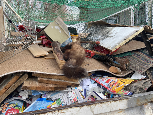 Wohnung räumen 96257 Redwitz-an-der-Rodach Firma Welz
