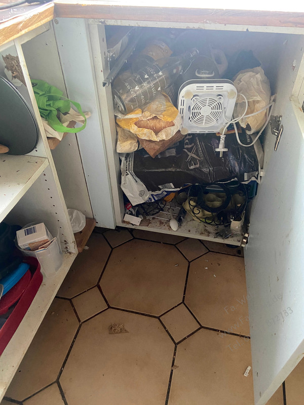 Wohnung räumen 96110 Pausdorf Firma Welz