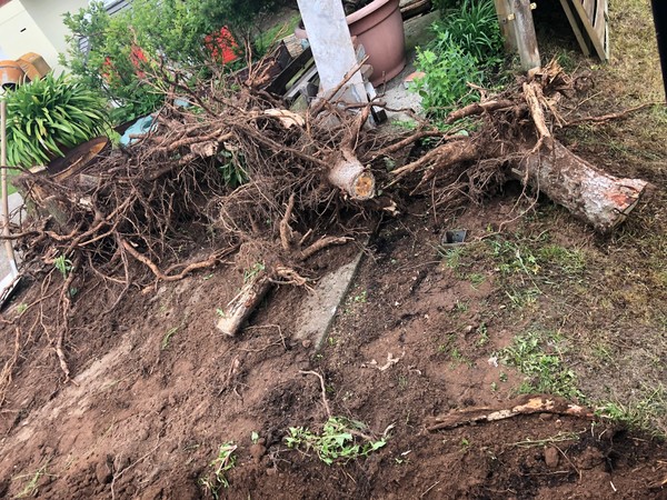 Garten pflastern 96472 Spittelstein Firma Welz Garten pflastern 96472 Spittelstein Firma Welz