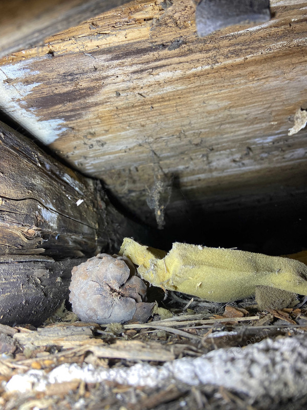 Wohnungsauflösung 96199 Unterleiterbach Firma Welz