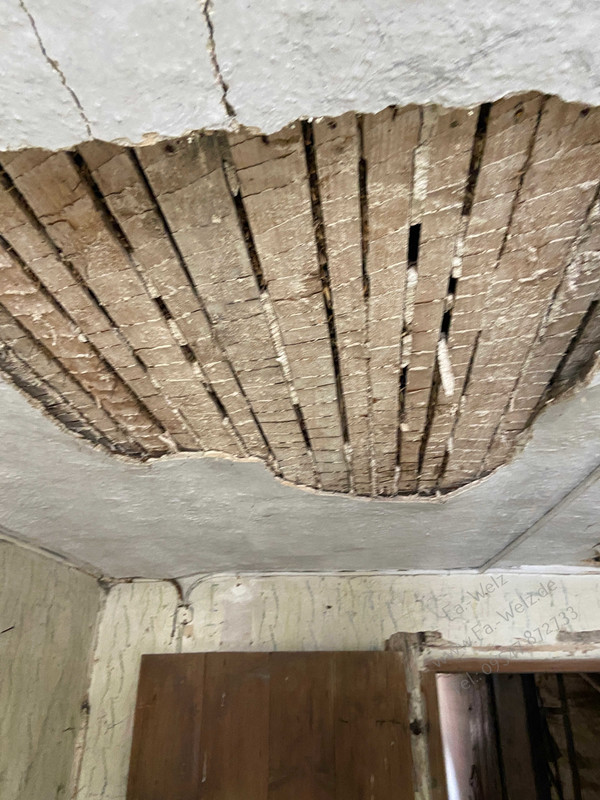 Hausmeisterdienst Firma Welz Hausmeisterdienst Firma Welz