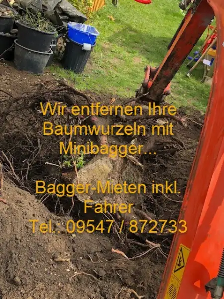 Minibagger-Baumstöcke-Entfernen-Ebern-Wurzelstock-entfernen-Bagger-Mieten-Baggermiete