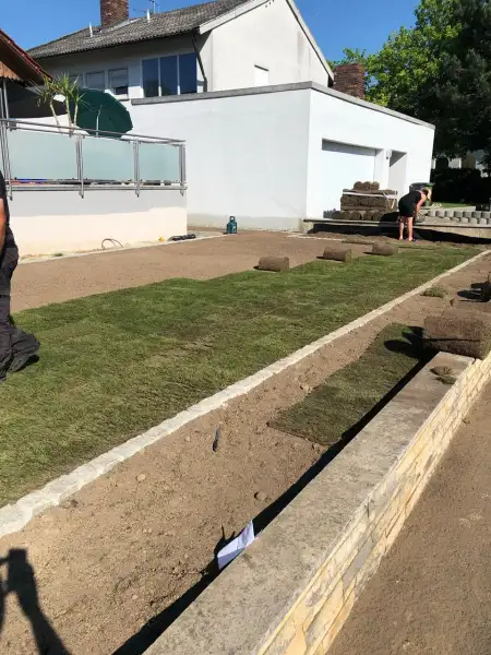 86b7eb89-cfc0-4e62-ac85-66a750e0d2bc